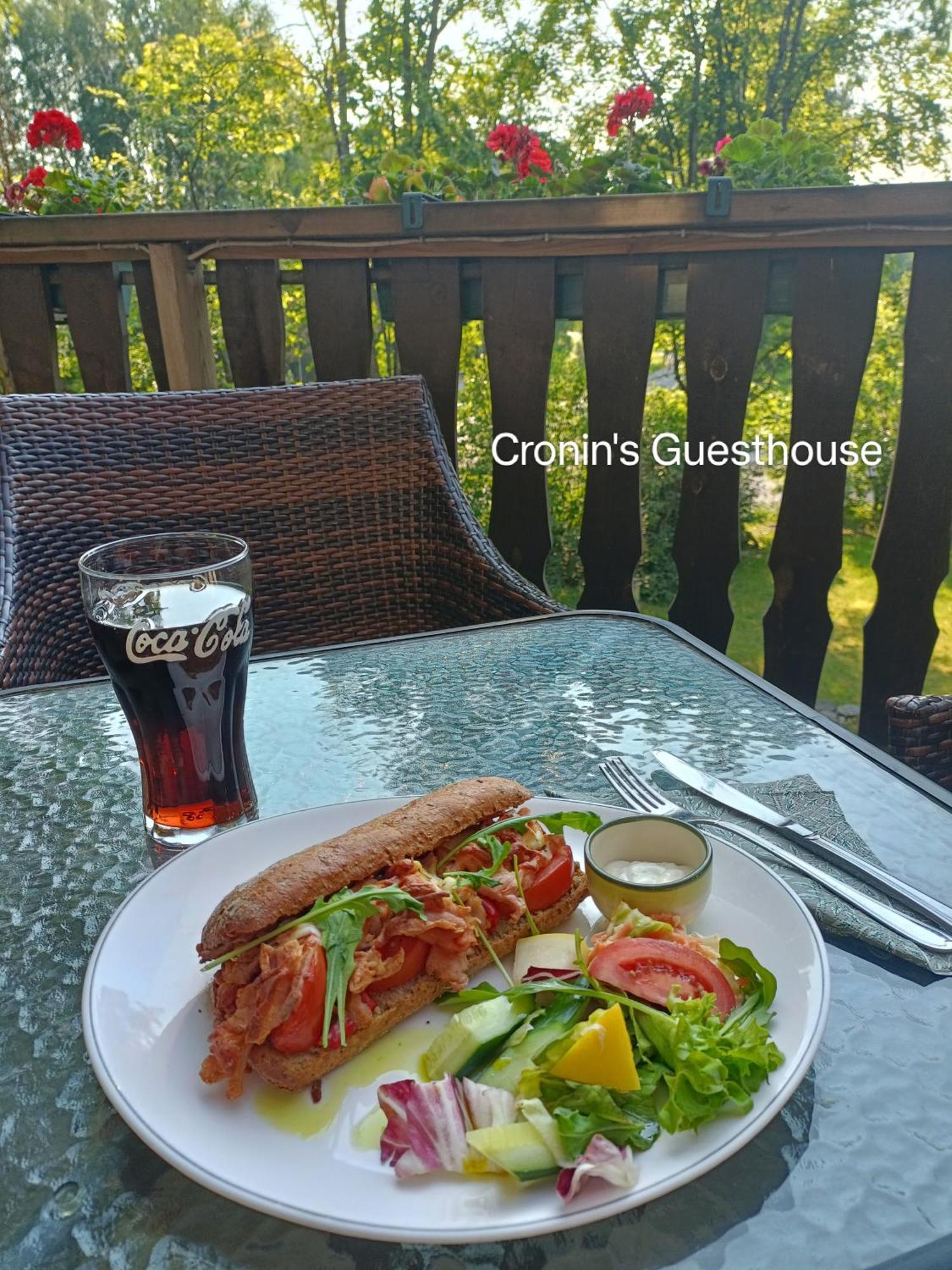 Cronin'S Guesthouse Bed & Breakfast Heinola Zewnętrze zdjęcie